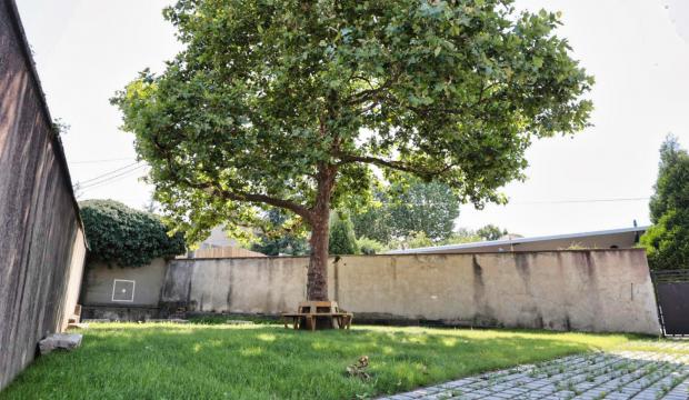 Ecole de Terrenoire : Fini le béton, place à la verdure !